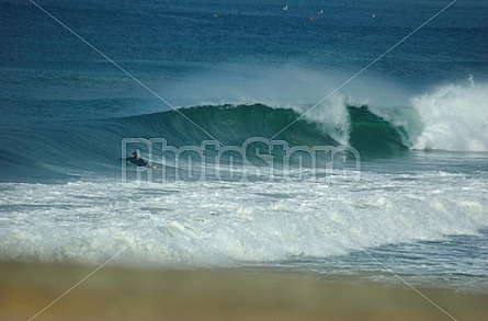 Surfers