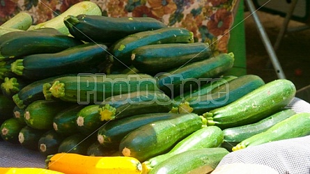 Farmer's Market Zucchini