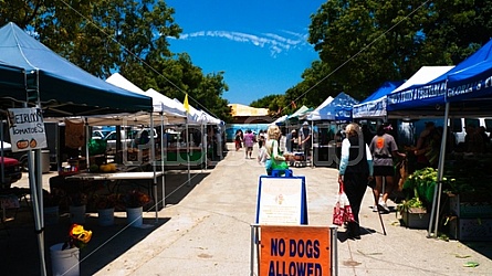 Santa Monica Farmer's Market