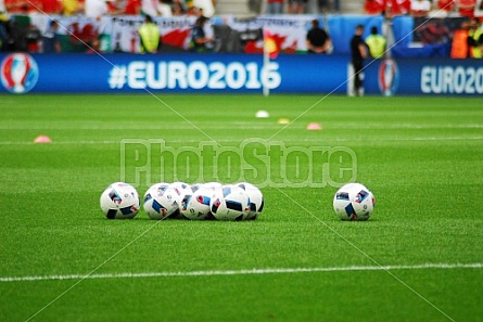 UEFA EURO 2016 Wales – Slovakia