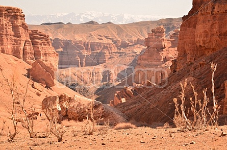 Charyn Canyon Kazakhstan