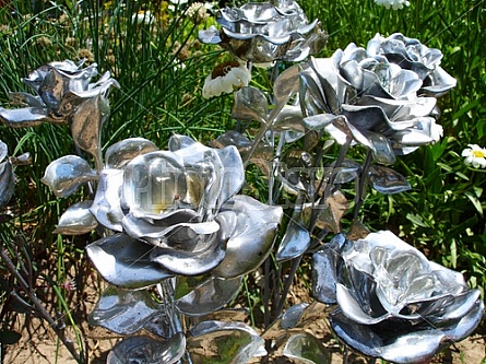 steel roses