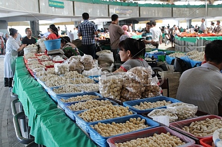 Chorsu bazaar, Tashkent, Uzbekistan