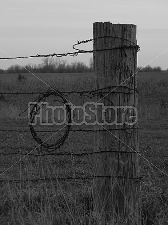 Barbed Wire and Fence