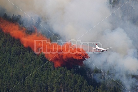 Forest Fire Fighting