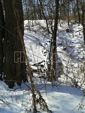 Winter In Illinois