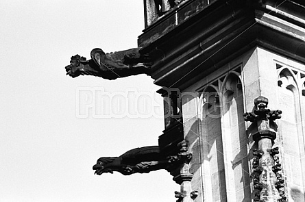 Gargoyles