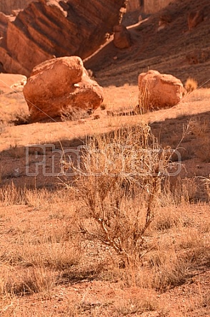 Charyn Canyon Kazakhstan