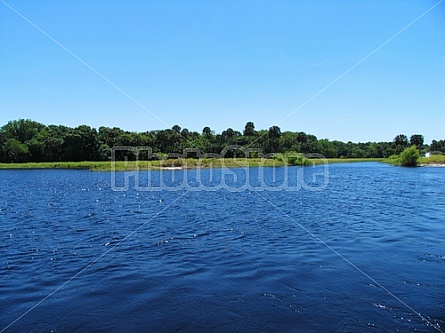 Florida Everglades