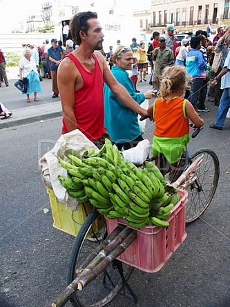 Banana Vendor