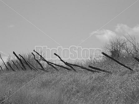 Fence Falling Over