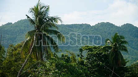 The Island of Bohol in the Philippines