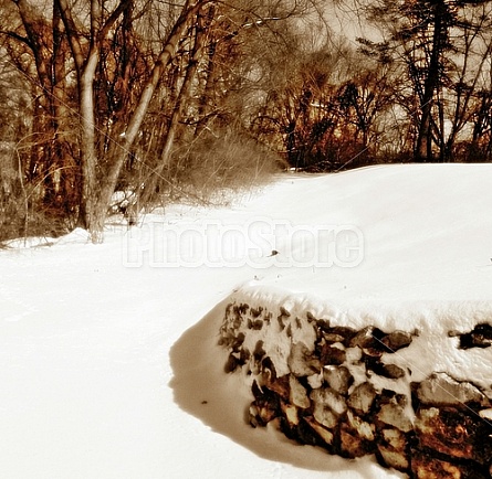 Winter In Illinois