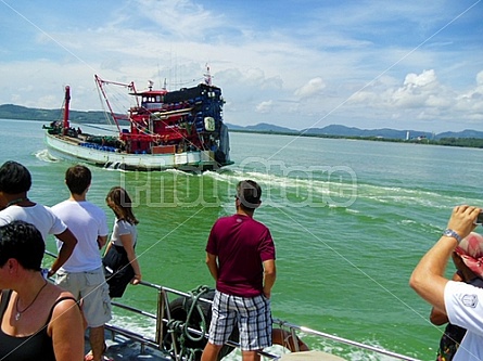 boats in Thailand