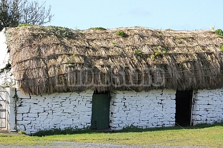 Irish Thatch Roof