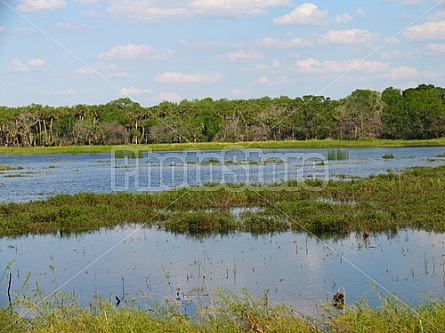 Florida Everglades