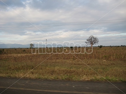 countryside in Malawi