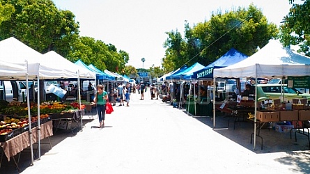 Farmer's Market