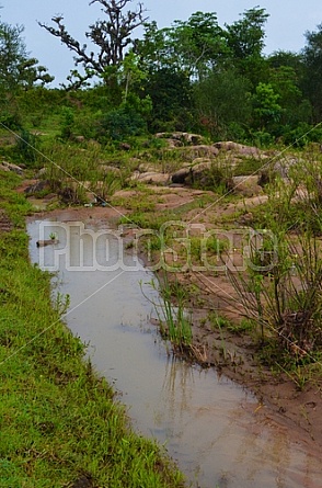 Kenyan creek