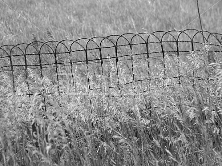 Vintage Fence