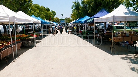 Farmer's Market