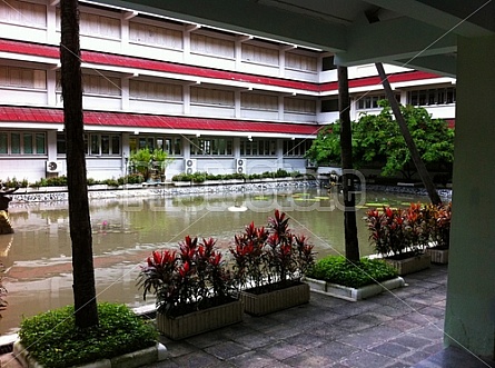 Bangkok School