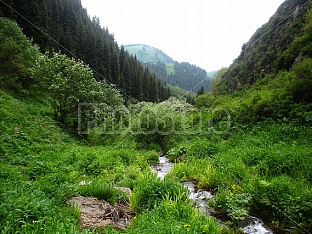 nature in Kazakhstan