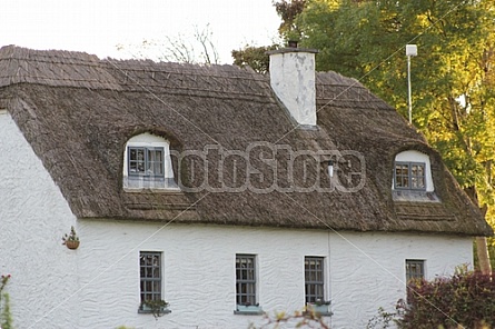 Irish Thatch Roof