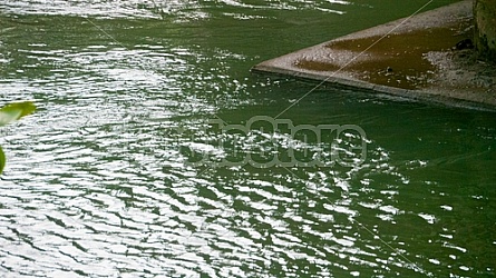 Loboc River Philippines