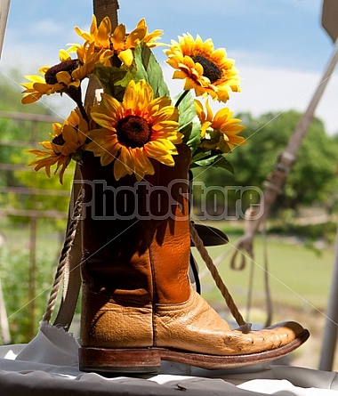 Sunny Side Boots