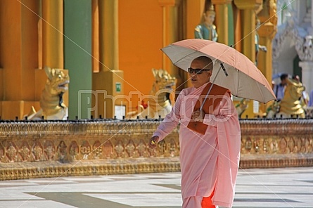 Buddhist Nun