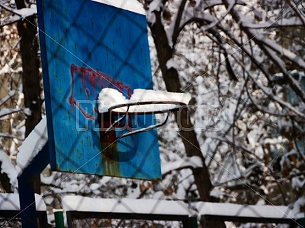 Winter Basketball