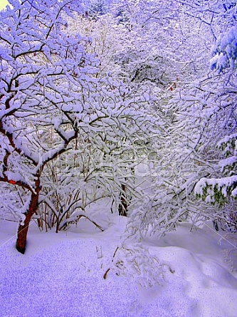 Winter in Kazakhstan