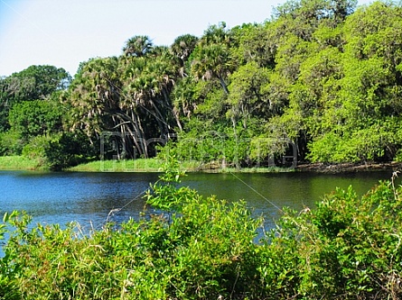 Florida Everglades