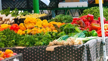 Farmer's Market