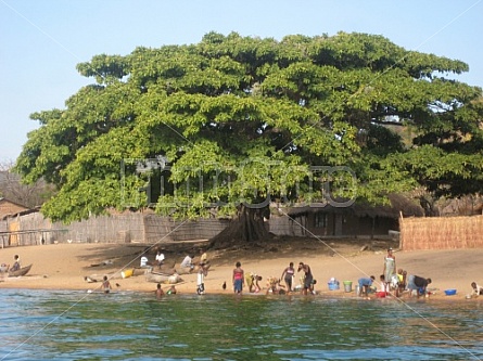 busy morning at Malawi lake