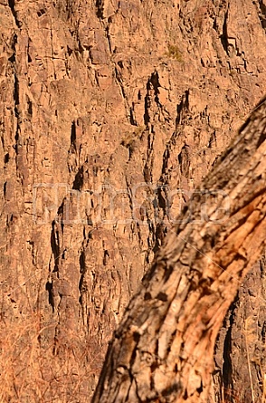 Charyn Canyon Kazakhstan