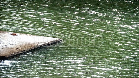 Loboc River Philippines