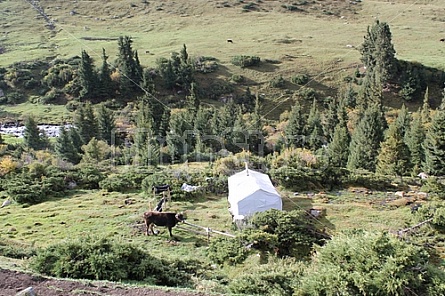 sheperd's tent at Altyn Arashan