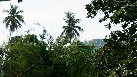 Loboc Philippines