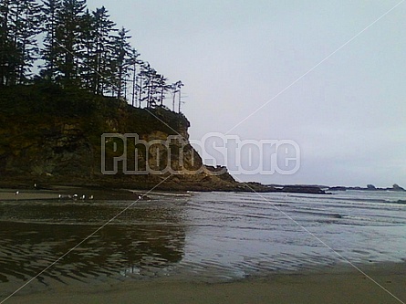 Coos Bay Cove