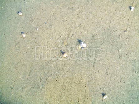 Wet Sand and Rock