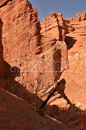 Charyn Canyon Kazakhstan