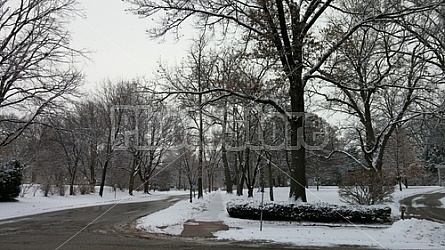 Winter in the park