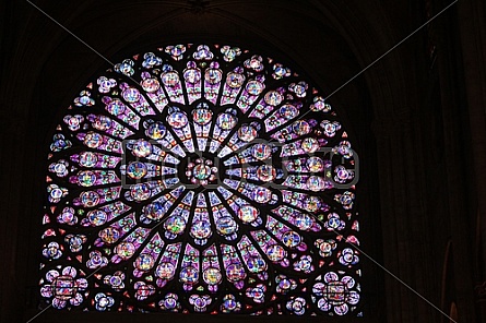 Notre Dame Stained Glass #3