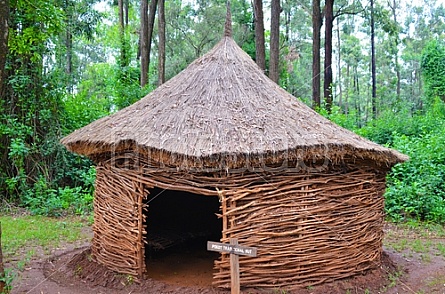 Pokot Traditional Hut