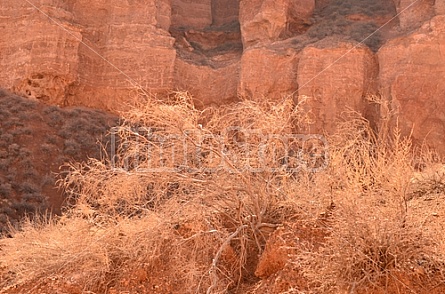 Charyn Canyon Kazakhstan