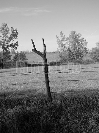 Makeshift Fencepost