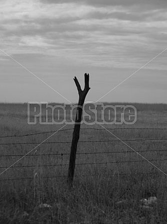 A Lone Fencepost