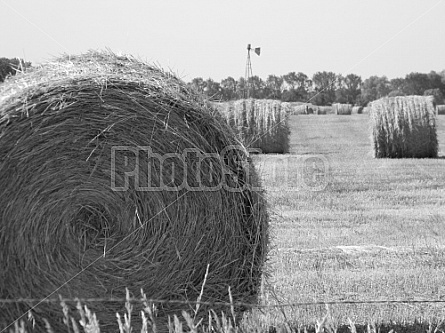 Hay Rolls #5